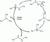 Figure 9 - Monomolecular isomerization of n-butane