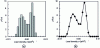 Figure 25 - σ-profile of the methane molecule as (a) a histogram comprising columns of width dσ = 10-3eÅ-2 or (b) a smoothed curve, which is the usual presentation