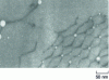 Figure 2 - Helium bubbles in aluminum seen by electron microscopy (photo by Viviane Lévy)