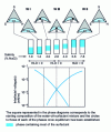 Figure 3 - Influence of salinity on phase diagrams, tube appearance and H/M and E/M interfacial tensions