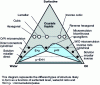 Figure 8 - Idealized Winsor III phase diagram