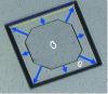 Figure 1 - Crystal growth shapes at instants t0 and t