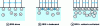 Figure 11 - Adsorption of dodecyl sulfate alone and with super-foaming additives