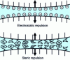 Figure 6 - Repulsion mechanisms between adsorbed layers