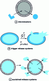 Figure 2 - Microreactors and sustained-release systems