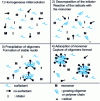 Figure 22 - Dispersion polymerization mechanism in four successive stages