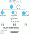 Figure 4 - Behavior of a coacervate in relation to an immiscible liquid phase