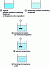 Figure 6 - Schematic diagram of the microencapsulation process by solvent evaporation