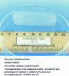 Figure 5 - Silica aerogel of very low density (d = 0.003) synthesized by a double-catalysis process