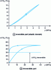 Figure 4 - Volume contraction according to the value of the imposed stress