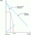 Figure 24 - Hydrostatic and silo pressure profile