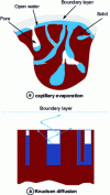 Figure 15 - Capillary evaporation and Knudsen diffusion