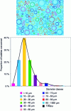 Figure 10 - Example of bubble size distribution in dairy foam
