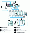 Figure 2 - Typical dairy foam production process