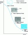 Figure 12 - Air-drying by coalescence: waterborne paint (acrylic-type paint)