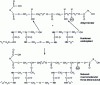 Figure 13 - Oven drying: paint drying by polycondensation reaction (alkyd paint)