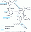 Figure 7 - Butylated melamine-formaldehyde resin (according to P. Nylen and E. Sunderland)