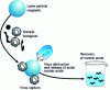 Figure 14 - Generic virus extraction using magnetic latex particles