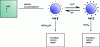 Figure 2 - Co-precipitation of anionic or cationic magnetic nanoparticles