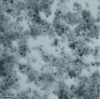 Figure 3 - Transmission electron microscopy analysis of iron oxide nanoparticles prepared by coprecipitation