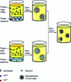 Figure 4 - Preparation of magnetic nanoparticles by inverse microemulsion