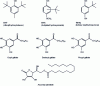 Figure 10 - Developed formulas for commonly used synthetic antioxidants