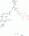 Figure 3 - Decomposition of hydroperoxides into secondary products