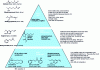 Figure 22 - Triangular representation of fragrances