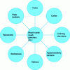 Figure 1 - Main problems and pathologies of the oral cavity