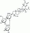 Figure 7 - Chemical structure of escin
