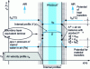 Figure 12 - Diagram of transfers between air and a product in the form of an "infinite" plate (case of symmetrical drying on both sides, and transfers normal to the surface).