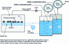 Figure 10 - Schematic diagram of a zeolite dryer, in a quasi-pure steam atmosphere, under vacuum.