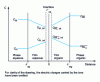 Figure 7 - Schematic representation of concentration profiles in the vicinity of a liquid-liquid interface during the extraction of a Mn+ cation by an HL acid extractant. [149]