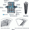 Figure 26 - Quadronic centrifugal contactor