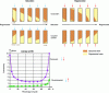 Figure 2 - Effects of cocurrent and countercurrent regeneration on ionic leakage and representation of saturated and regenerating resin beds