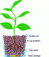 Figure 16 - Resin as fertilizer in hydroponics