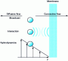 Figure 15 - Schematic representation of matter transfer phenomena at the surface of a membrane