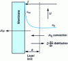 Figure 16 - Polarization modeling using film theory