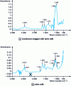 Figure 20 - Comparison of the spectrum (difference 2) of a membrane clogged with skimmed milk  and the spectrum (difference 1) of skimmed milk 