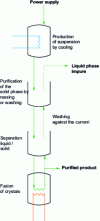Figure 12 - Sequence of stages in the continuous crystallization process