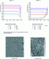 Figure 24 - Comparison of polymer volume fraction profiles and final membrane morphologies [60].