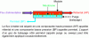 Figure 1 - Schematic diagram of a single-stage gas permeation process operating under steady-state conditions