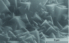 Figure 8 - NaA zeolite layer seen by scanning electron microscopy SEM (reproduced from figure 2 of [86] with permission from Springer Nature Copyright 1995)