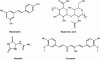 Figure 11 - Formulas developed from a number of active ingredients of natural origin used for their skin-repair properties