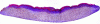 Figure 8 - Human reconstructed skin model (HES staining) (© Société Bioalternatives)