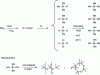 Figure 4 - How to obtain linear and cyclic PDMS [1] [23].