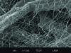 Figure 16 - Scanning electron microscopy (SEM) of the surface of a filter covered with a PTFE microfiber membrane.