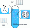 Figure 20 - Bubble column schematic diagram