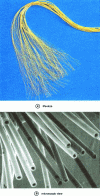 Figure 2 - Hollow polyaramide fiber (DuPont /L'Air Liquide document)