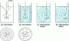 Figure 7 - Current shapes created by an axial-flow mobile